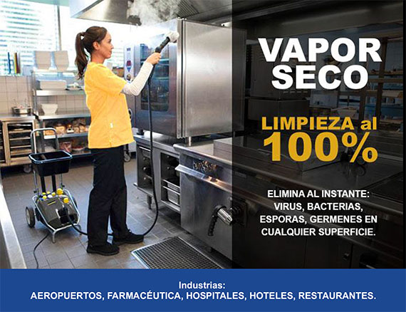 limpieza-vapor-seco-1