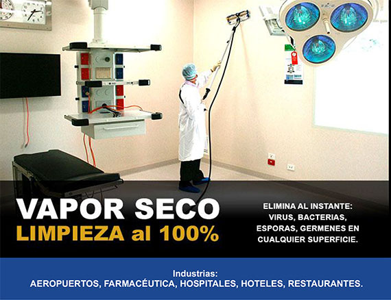 limpieza-vapor-seco-3