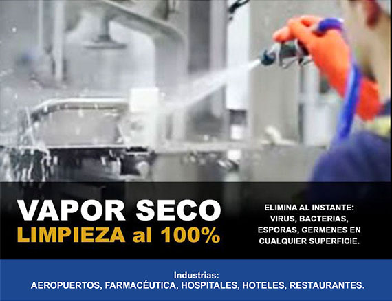 limpieza-vapor-seco-4